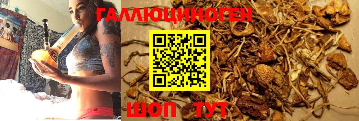Ярославль  Псилоцибиновые грибы GOLDEN TEACHER  Галлюциногенные грибы GOLDEN TEACHER  Вход с VPN 