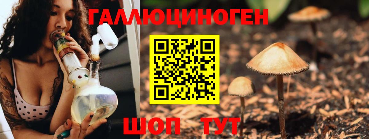 Псилоцибиновые грибы Psilocybine cubensis Ярославль
